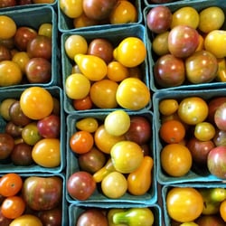 The Farm at Eastman's Corner - Farm Fresh cherry tomato varieis