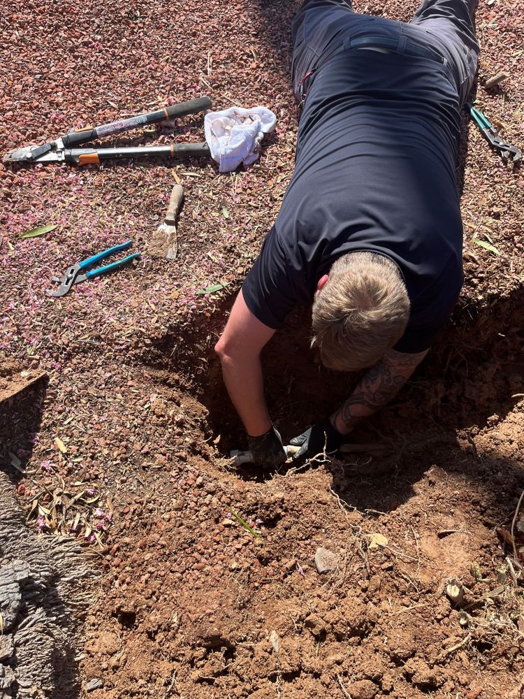 Slide of Courtesy Plumbing