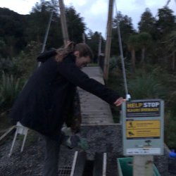Clevedon Scenic Reserve