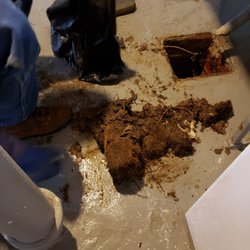 Alexis Sewer Cleaning