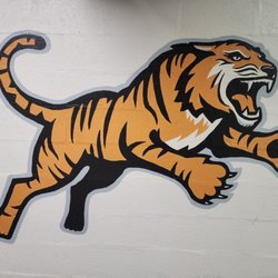 Rochester Institute of Technology - RIT Tigers