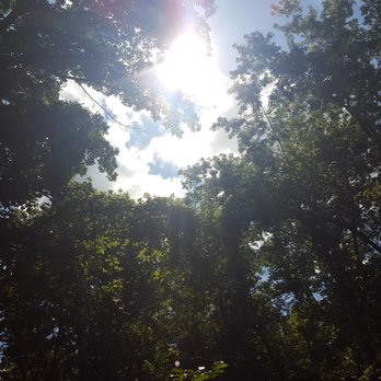 Warnimont Park - Tree tops - Parks Near Me - Cudahy, Wisconsin