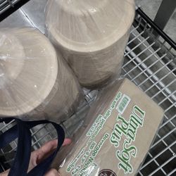 Compostable Bowls and Napkins