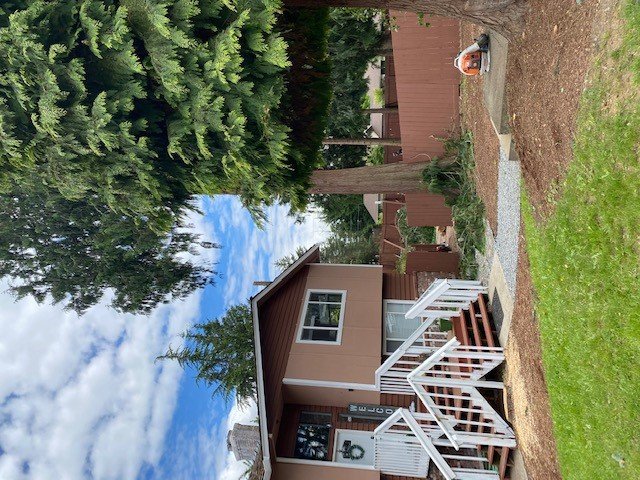 Infinity Tree Services - tree service in Des Moines, WA