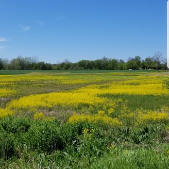 Macomb Orchard Trail - *Little House on the Prarie theme plays - Active Life Near Me Macomb Orchard Trail - *Little House on the Prarie theme plays - Active Life Near Me