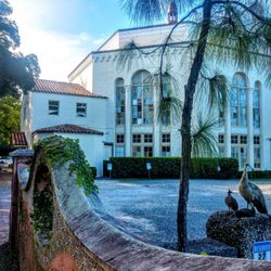 Chabad of South Dade - Mum n babies