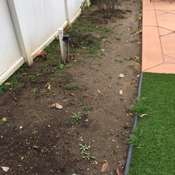 Angel's Gardening Services - More weeds. - Gardeners Near Me - Pasadena, California Angel's Gardening Services - More weeds. - Gardeners Near Me - Pasadena, California