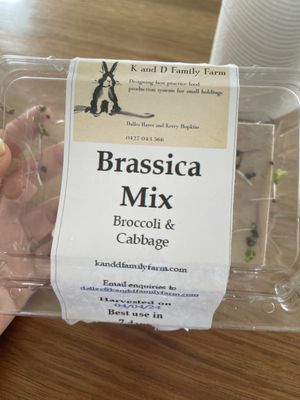 Hill Street Grocer West Hobart by null