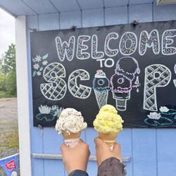 Scoops