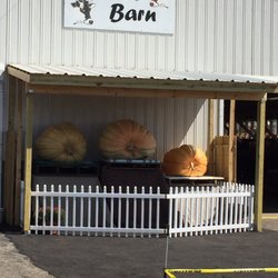 Spencer Fair - Giant Pumpkins at the Spencer Fair 2017