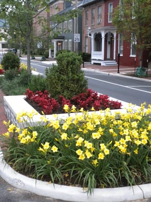 Blue Ridge Landscape & Design