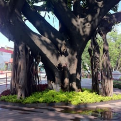 Parque Lineal Normalistas