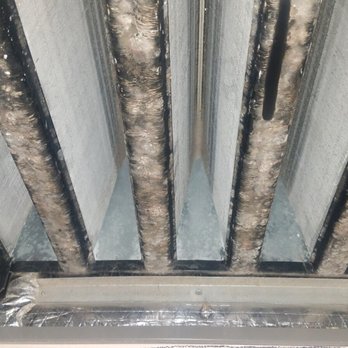 And Services - Mold - Heating & Air Conditioning/HVAC Near Me - Tampa, Florida