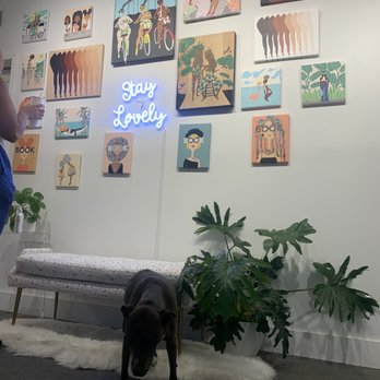 Lovely Earthlings - Art Galleries Near Me - Louisville, Kentucky