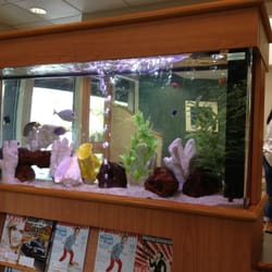Bellevue Kids Dentist