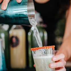 Curly Bartender - Signature cocktails
