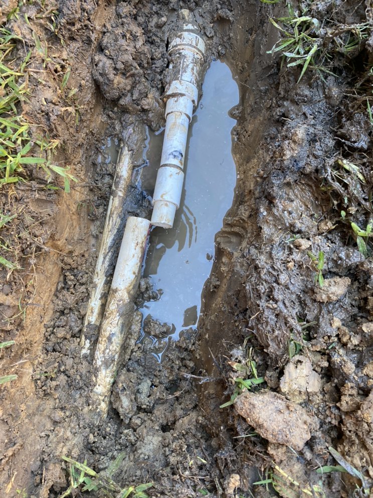 Fort Worth Lawn and Tree - tree service in Fort Worth, TX