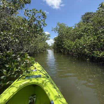 Ultimate Kayak SRQ - Mangrove pass - Rafting/Kayaking Near Me - Siesta Key / Sarasota, Florida Ultimate Kayak SRQ - Mangrove pass - Rafting/Kayaking Near Me - Siesta Key / Sarasota, Florida