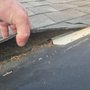 B & F Roofing