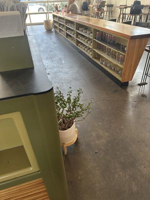 Barista Parlor W Nashville by null