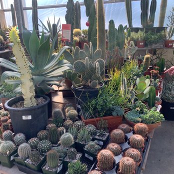 Family Tree Nursery - Feels like Sedona. Kind of. Just imagine it! - Nurseries & Gardening Near Me - Shawnee, Kansas Family Tree Nursery - Feels like Sedona. Kind of. Just imagine it! - Nurseries & Gardening Near Me - Shawnee, Kansas