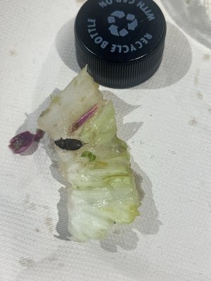 sweetgreen - Healthy Salads, Bowls and Plates by null