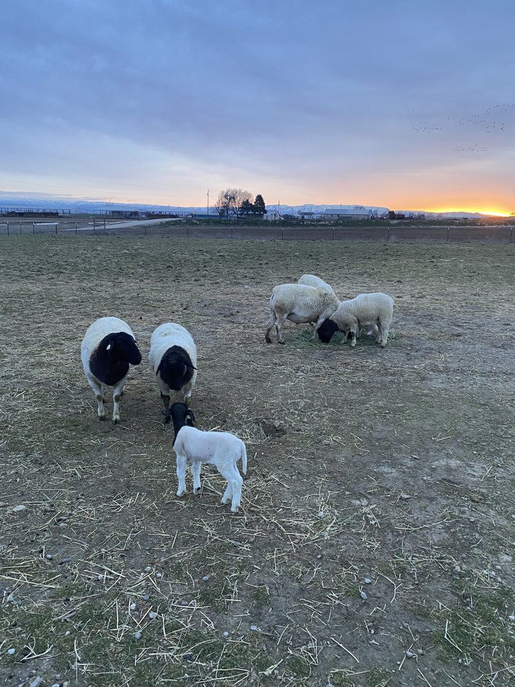 Kingswood Ranch A Place For Heroes - social services organization in New Plymouth, ID