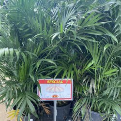 Houston Garden Centers
