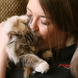 Fetch! Pet Care - We speak cat here.