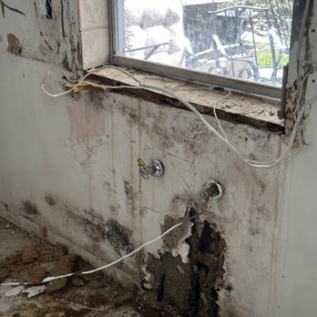 American Building Inspectors - Mold behind water damaged kitchen cabinets. Inspector claimed "can't spell mold" when he was 6 inches from this. Didn't use moisture meter - Home Inspectors Near Me - Wilton Manors, Florida