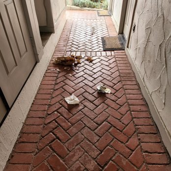 Pelican Inn & Suites - Garbage in hallway - Hotels Near Me - Cambria, California Pelican Inn & Suites - Garbage in hallway - Hotels Near Me - Cambria, California