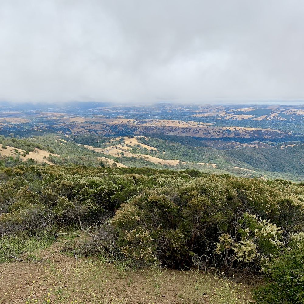Mount Diablo State Park - Diablo Overlook on a foggy day. - Parks Near Me - Clayton, California