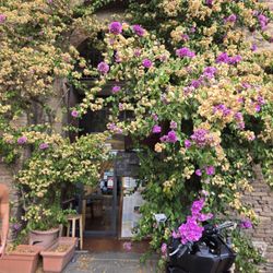 Gino Cacino di Angelo - Entrance hidden behind the hedge.