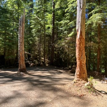 Dawleys Sol Duc River Campground - Drive-in sight 20 Riverview! - Campgrounds Near Me - Beaver, Washington Dawleys Sol Duc River Campground - Drive-in sight 20 Riverview! - Campgrounds Near Me - Beaver, Washington