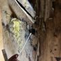 Photo of Cornerstone Mold & Restoration