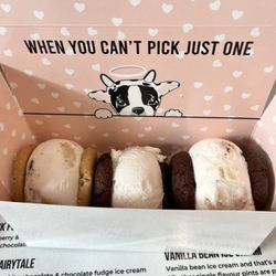 Innocent Ice Cream