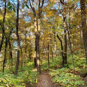 Maple Woods Natural Area - Parks Near Me - Gladstone, Missouri