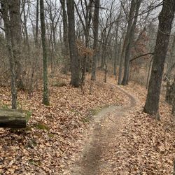 DTE Energy Foundation Trail - Green Lake loop