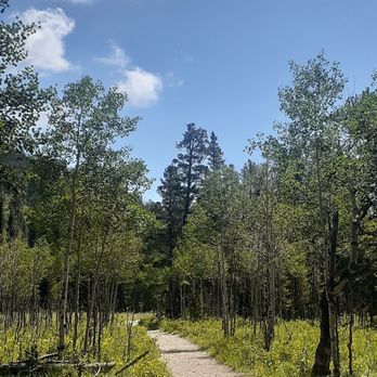 Buchanan Pass Trail - Hiking Near Me Buchanan Pass Trail - Hiking Near Me