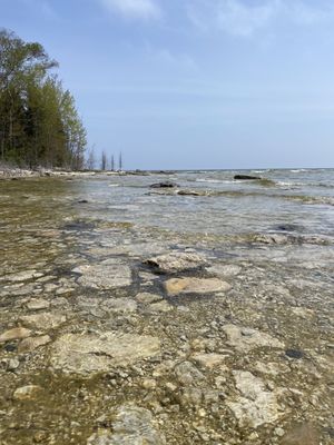 Newport State Park by null