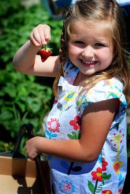 Biringer Farms by null