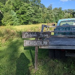 Oakdale Farm - In back area with tables for food and a fire pit