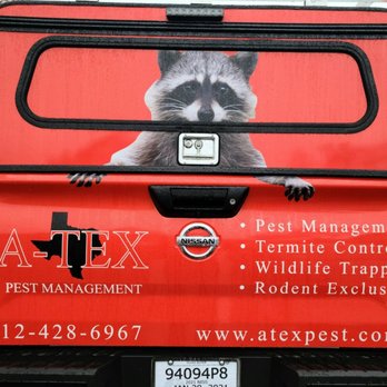 A-Tex Pest Management - Pest Control Near Me - Austin, Texas A-Tex Pest Management - Pest Control Near Me - Austin, Texas