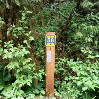 Green Point Campground - Campgrounds Near Me - Tofino, British Columbia
