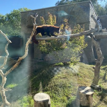 Central Coast Zoo - Zoos Near Me - Atascadero, California Central Coast Zoo - Zoos Near Me - Atascadero, California