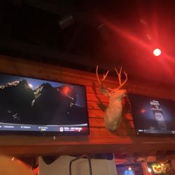 Texas Roadhouse - Deer head with 2 more tv's