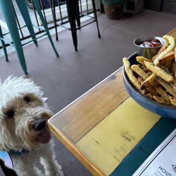 The Parish - Hand Cut Fries Dinner - Gastropubs Near Me - Tucson, Arizona