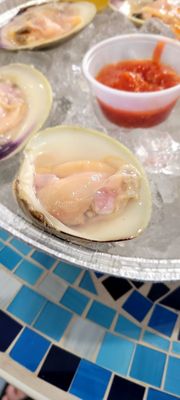 Blue Water Fish by null