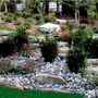 Photo of Dom Chiola Landscaping
