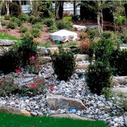 Dom Chiola Landscaping